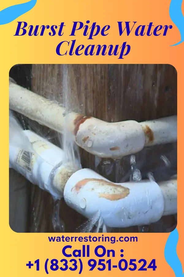 Burst Pipe Water Cleanup in Rosalie, NE