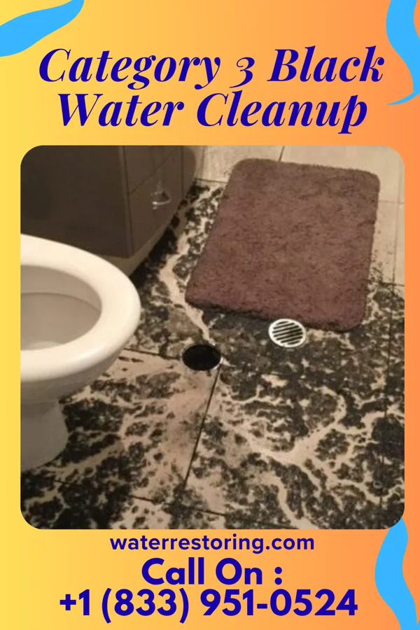 Category 3 Black Water Cleanup in Rosalie, NE