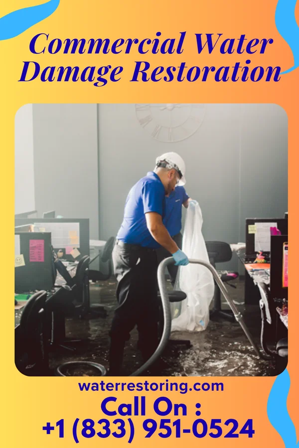 Commercial Water Damage Restoration in Rosalie, NE