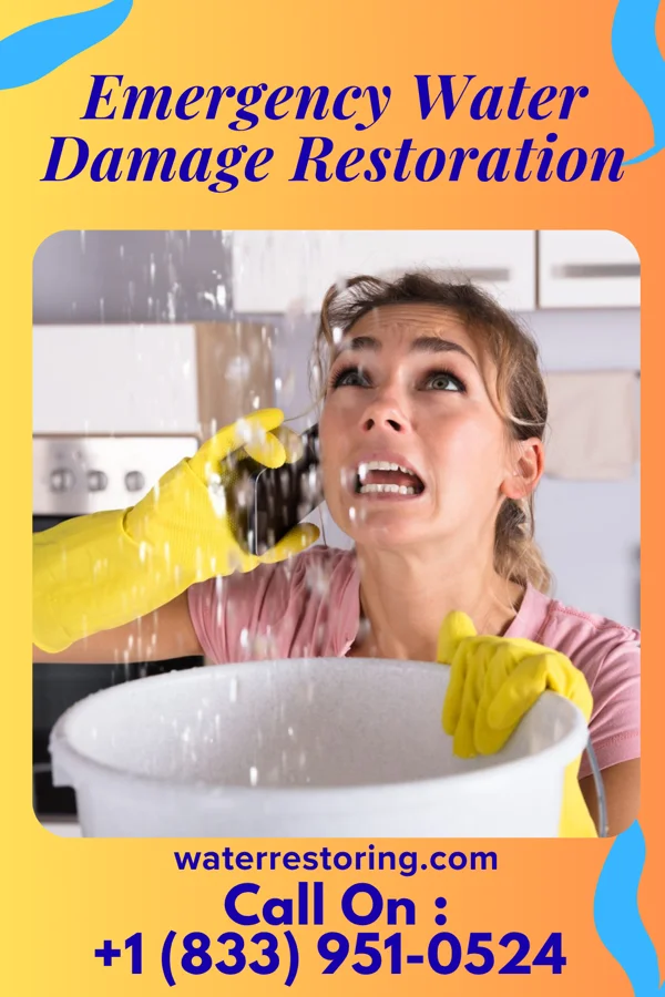 Emergency Water Damage Restoration in Rosalie, NE